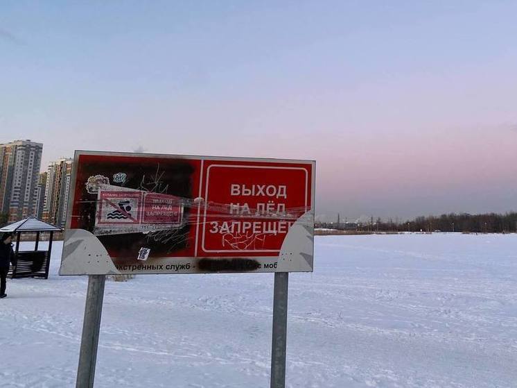 В восьми муниципалитетах Новгородской области запретили выходить на лед