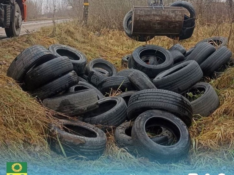 В Зеленоградске ликвидировали две свалки