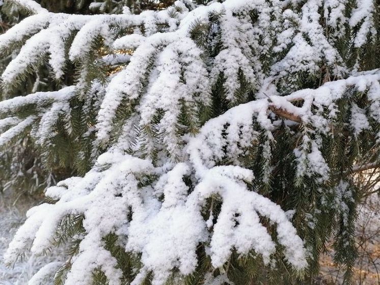 «Желтый» уровень погодной опасности продлили в Подмосковье