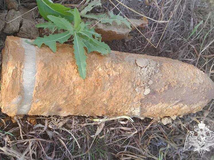 В Крымском районе уничтожили артиллерийский снаряд, найденный на территории частного дома