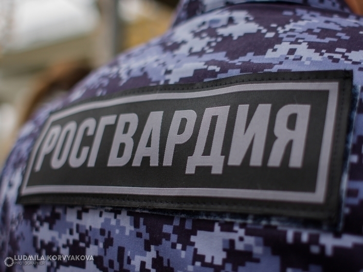 Росгвардейцы забрали дебошира из Кондопоги за разбитое стекло и проколотую шину