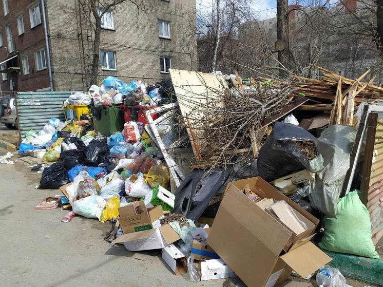 В Новосибирске создадут карту мусорных площадок
