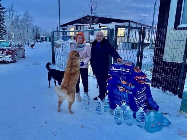 128 животных спасли из огня в приюте Аксарки