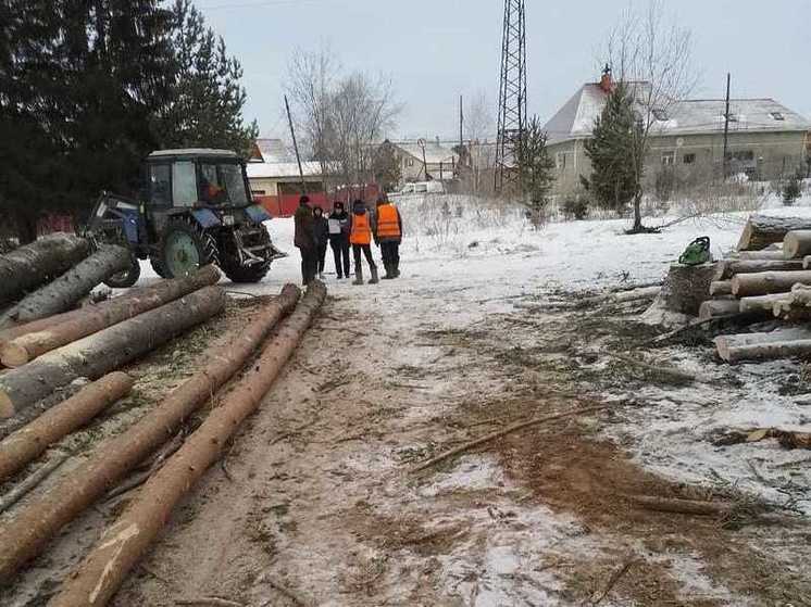 В Ревде уничтожают деревья в любимом месте отдыха горожан