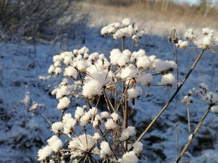 «Желтый» уровень погодной опасности продлили до четверга в Подмосковье