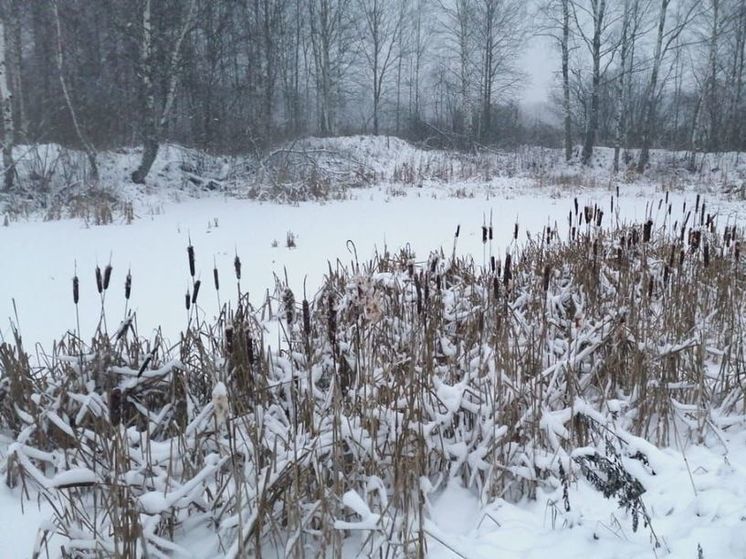 Сугробы высотой 40 см вырастут в выходные местами в Подмосковье