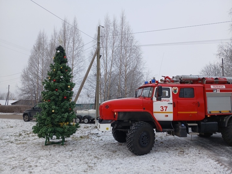 Пожарные помогли создать новогоднюю атмосферу в Видлице