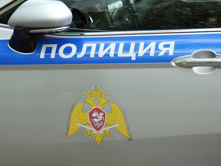 Почти 65 тысяч преступлений зарегистрировали в Подмосковье