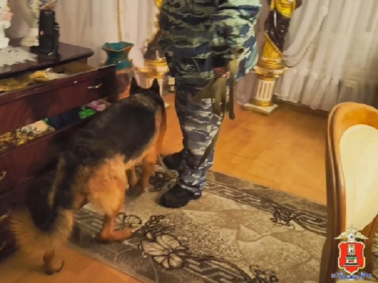 В Тверской области 40 представителей цыганской народности проверяют на причастность к преступлениям
