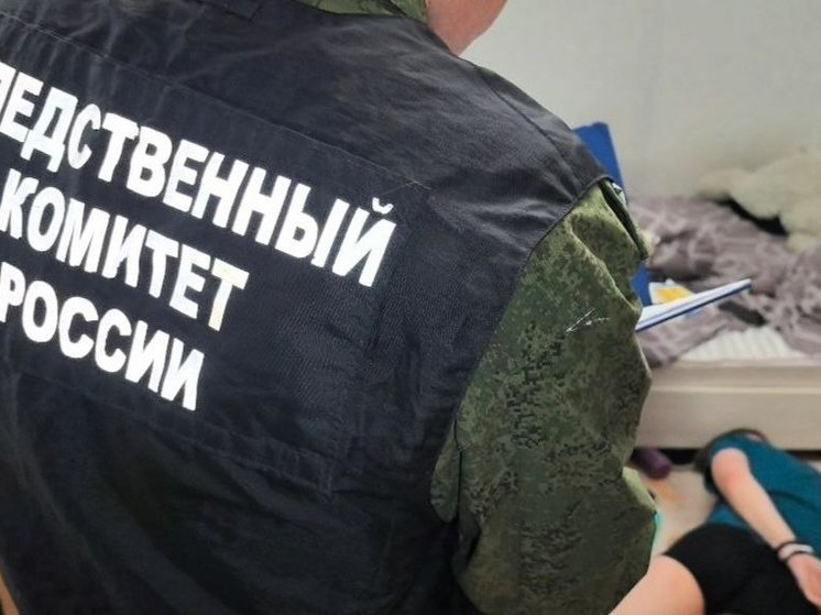 Четверо молодых северян задержали за серию жестоких преступлений