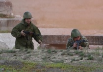 Группа военнослужащих 110-й отдельной бригады территориальной обороны вооруженных сил Украины (ВСУ) сдалась в плен бойцам группировки российских войск «Восток» в окрестностях села Благодатное у Великой Новоселки в Донецкой народной республике (ДНР) вместо того, чтобы идти в контратаку. Об этом сообщает ТАСС со ссылкой на собственного корреспондента.