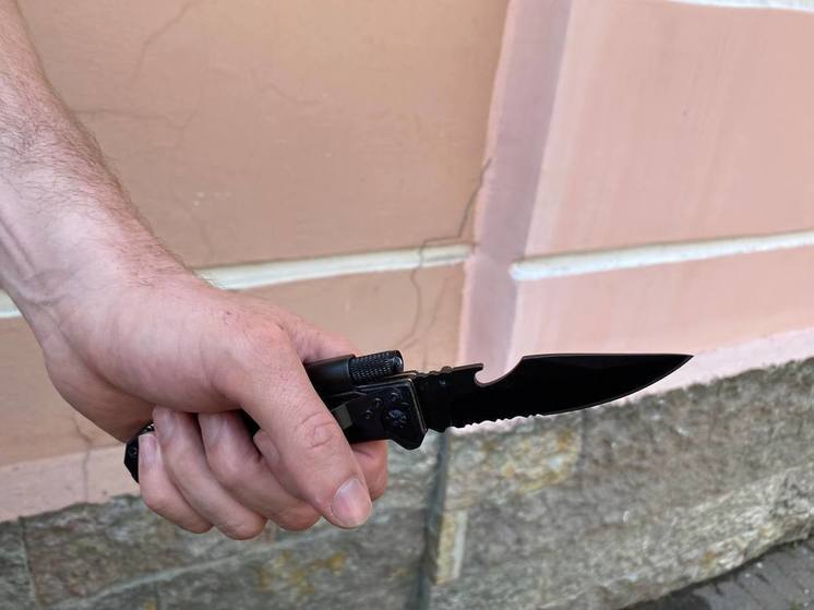 В Петербурге задержали двух рецидивистов за вооруженное нападение на жителя хостела
