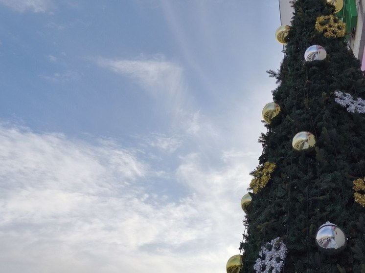 В Хабаровске создают ледовый городок «Сказочный лес»