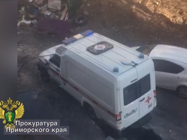 Благодаря застрявшей скорой почистили улицу во Владивостоке