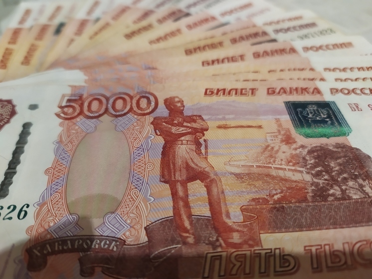 На эти цели направлено 58% всех расходов