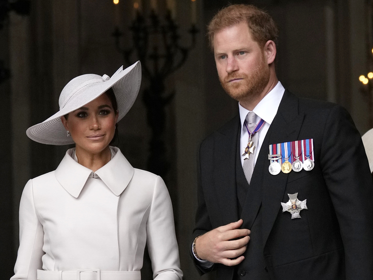 Не все специалисты по монархии остались довольны проектом пары