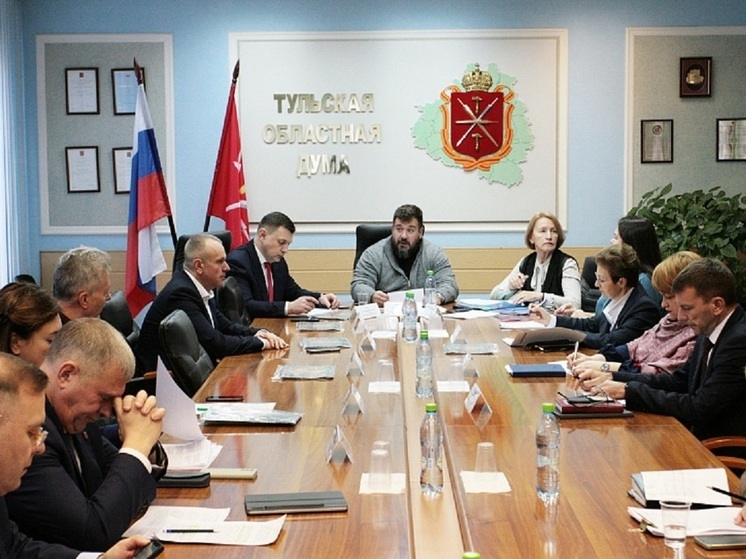 Комитет Тулоблдумы под руководством Степанова одобрил бюджет 2025 года к принятию