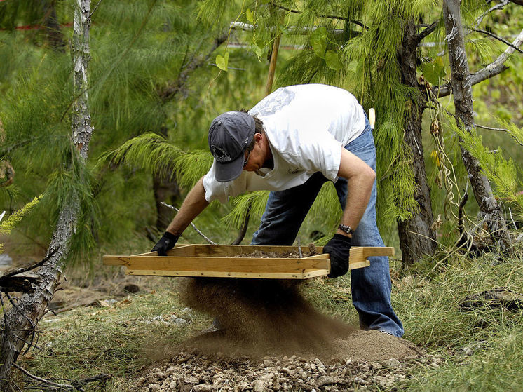 Археолог обнаружил уникальное доисторическое существо с продуманной стратегией выживания