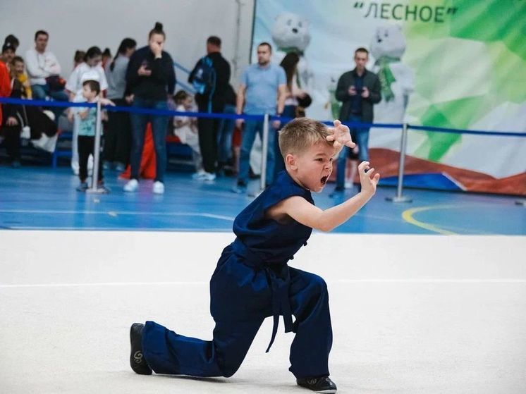 Анне Невзоровой вручили благодарность за вклад в развитие ушу в Сочи