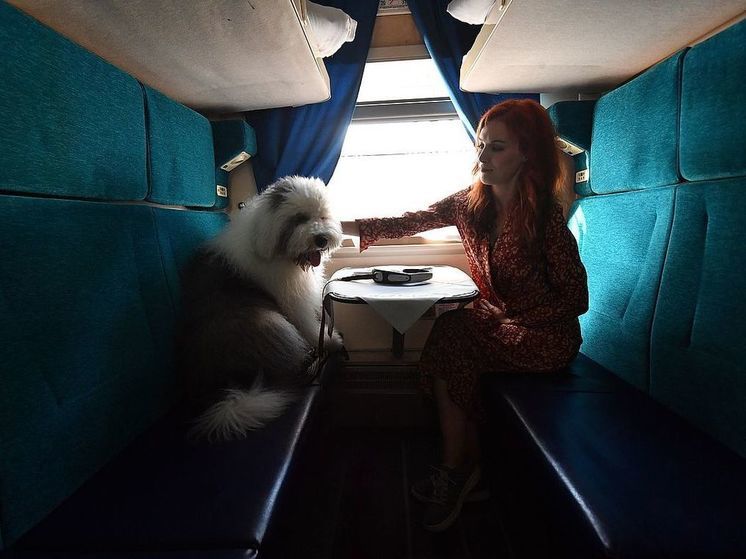 В России с 1 января изменят правила провоза домашних животных в поездах