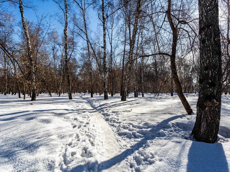 Новосибирск ожидает выходные с мокрым снегом и нулевой температурой