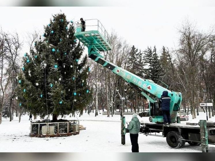 В Пензе на Соборной площади появилась новогодняя елка