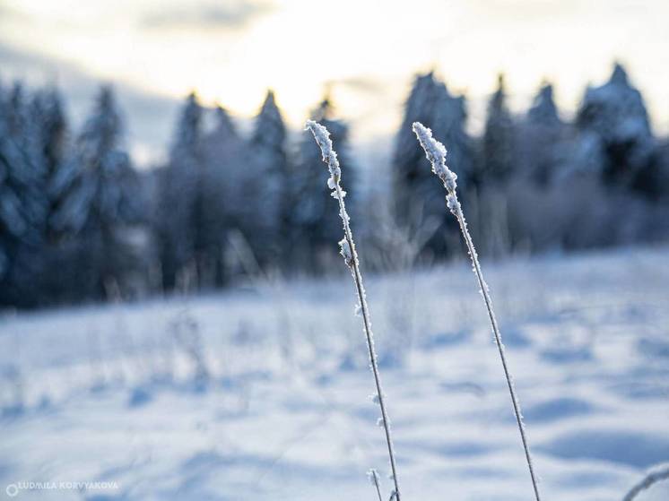 Морозы усилятся в Карелии в эти выходные