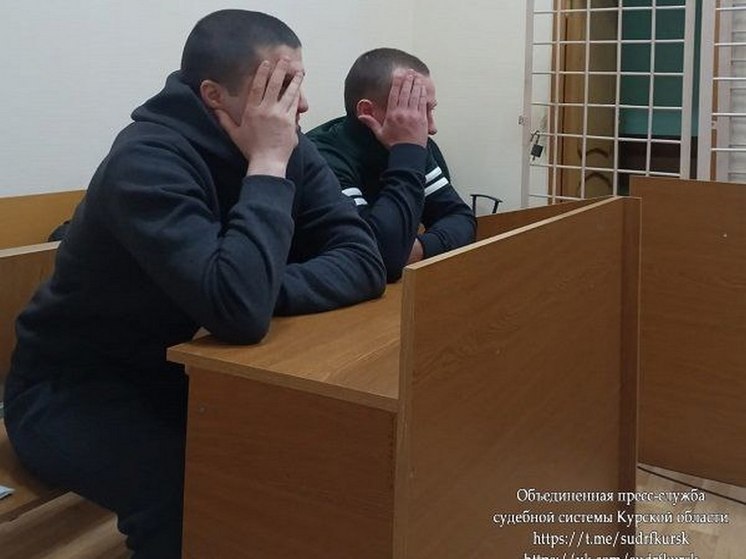 В Курской области два наркокурьера отправились в колонию строгого режима
