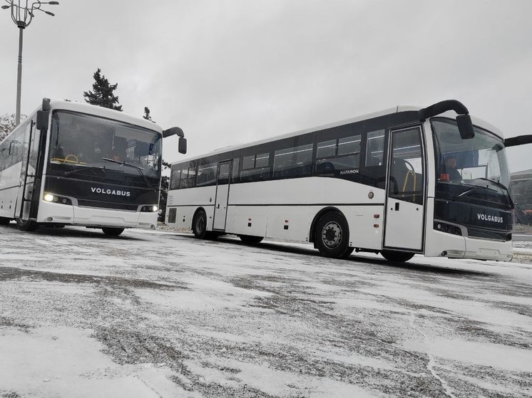 ДНР получила два туристических автобуса