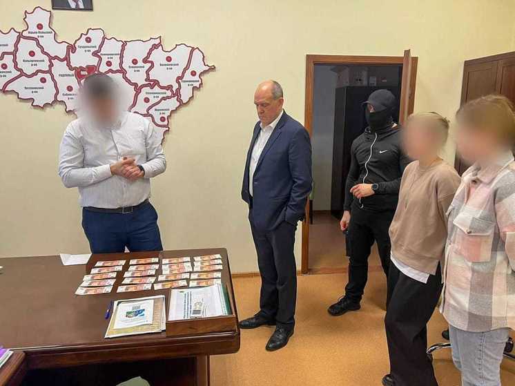 Главу минздрава Владимирской области арестовало ФСБ