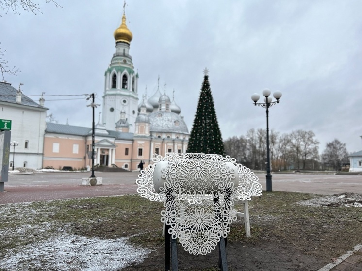 Вологодчина примет участие во Всероссийском конкурсе «Елки России – 2024»