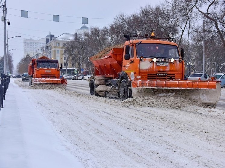 Гладков напомнил белгородцам о сервисе по наблюдению за снегоуборочной техникой