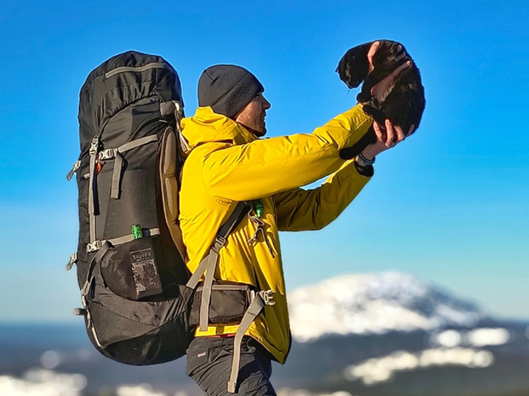 «Охотится на зайцев и белок, проходит в день по восемь километров»