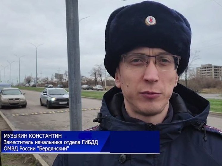 В Бердянске произошло смертельное ДТП