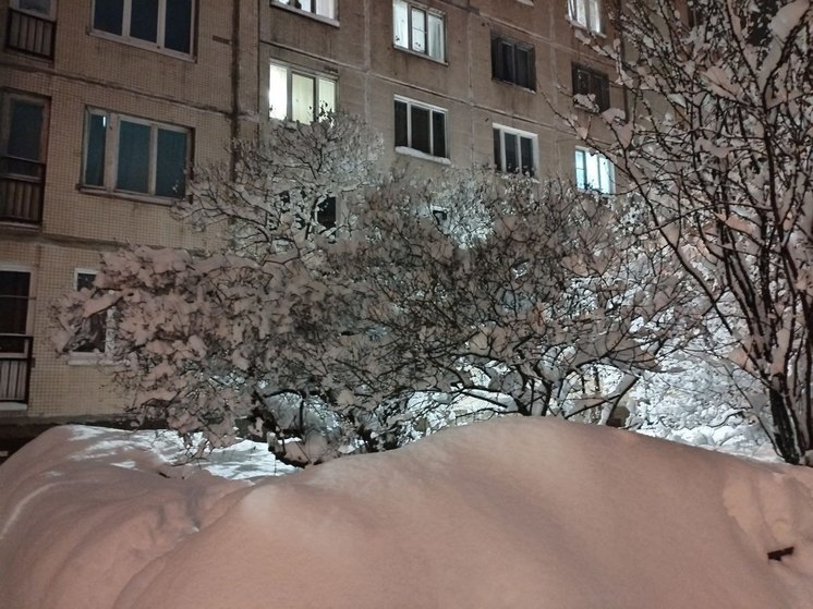Новгородцев предупредили о сильном снегопаде 14 и 15 декабря