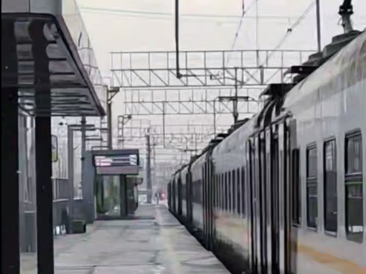 Сбой графика движения на МЦД-2 произошел из-за обрыва кабеля