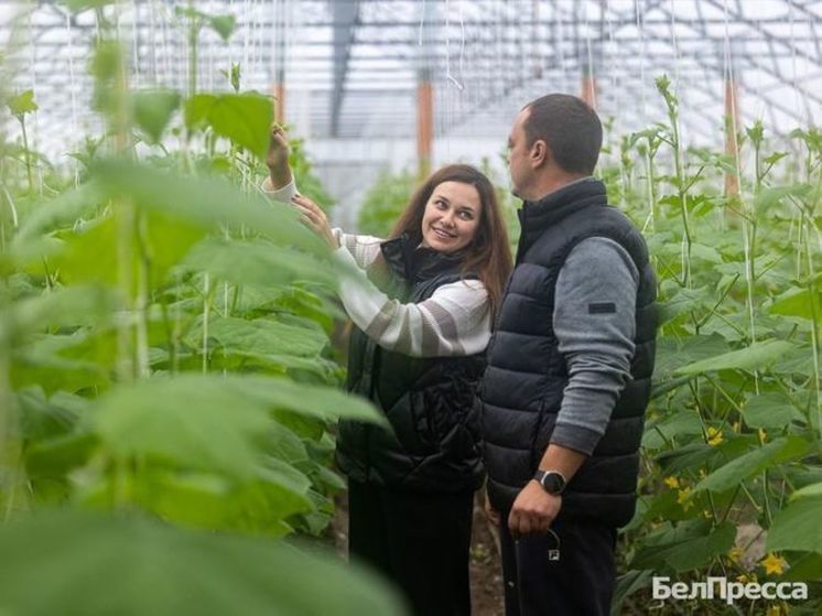 Оксана и Владислав Богатыревы выращивают огурцы и лук круглогодичного цикла