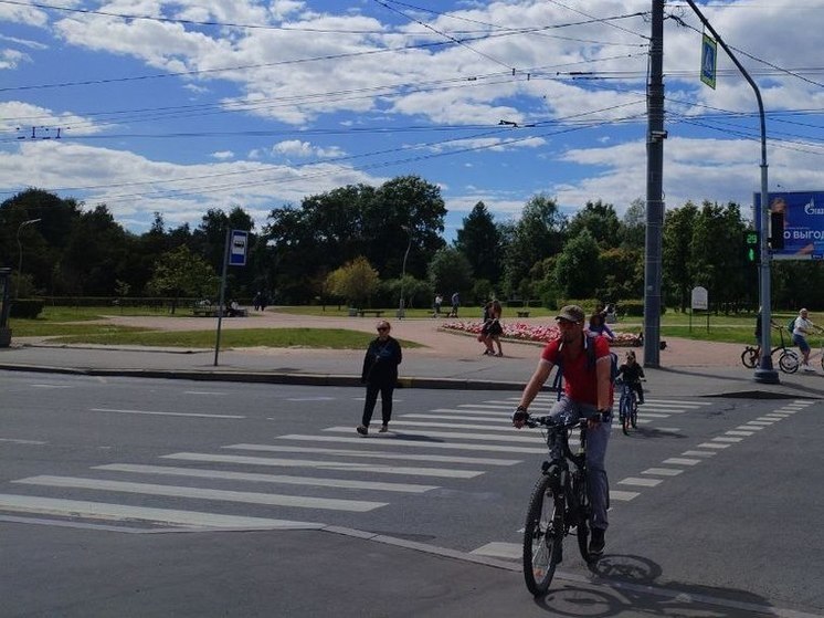 В Петербурге стало на 5,6 километра больше велодорожек