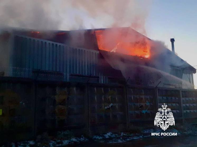 Пожар на пилораме в Прионежском районе тушили более пяти часов