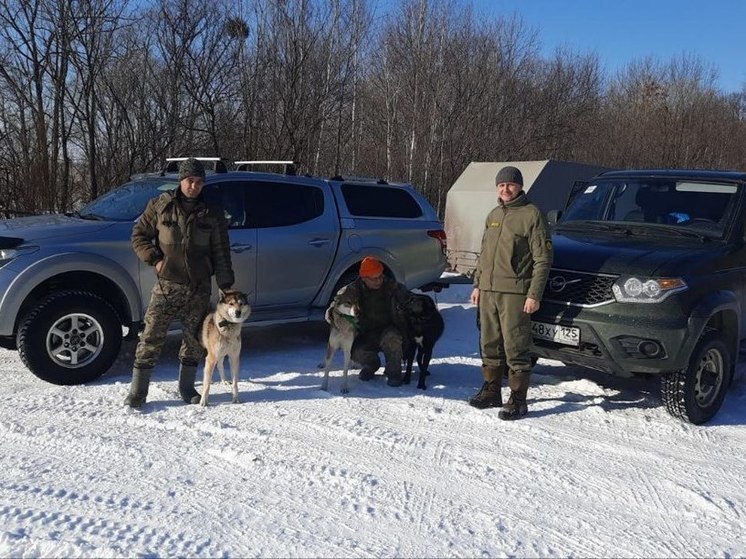 Охотнадзор выехал на поиски растерзавшего мужчину медведя в Приморье