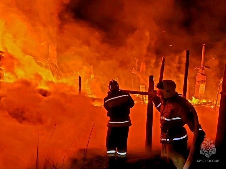 В селе Седельниково Омской области горел трёхквартирный дом