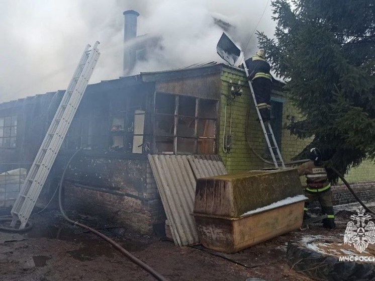 Пожар в в орловском поселке Знаменка уничтожил 2 автомобиля и гараж