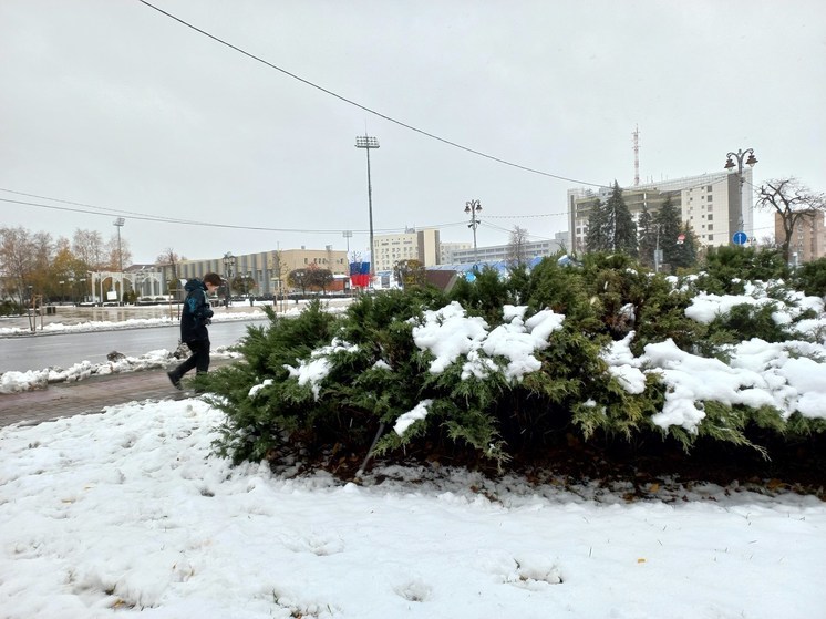 Курскую область 15 декабря накроют снегопады с дождями