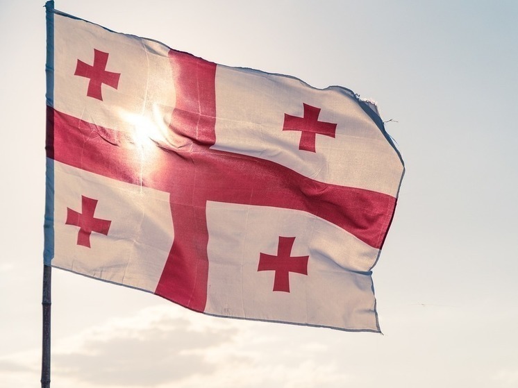 Центральный избирательный комитет Грузии: Выборы президента страны фактически состоялись