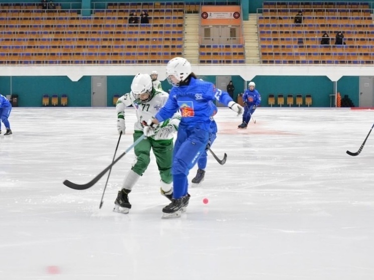 Спортсмены Кольского Заполярья заняли второе место на Первенстве России по хоккею