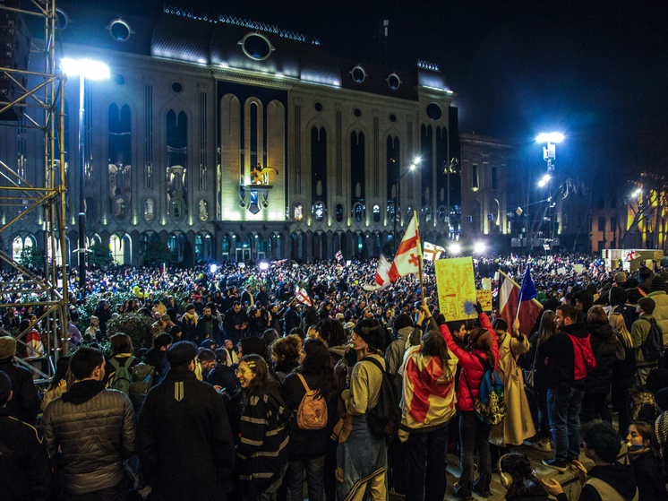 Митинг протеста в Тбилиси закончился без происшествий, полиция не допустила столкновений