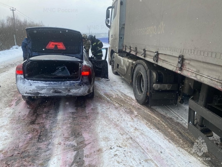 В Гагарине в ДТП с фурой погиб человек