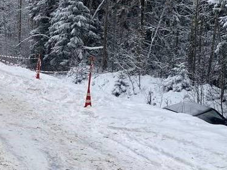 В Парфинском районе улетел в кювет легковой автомобиль