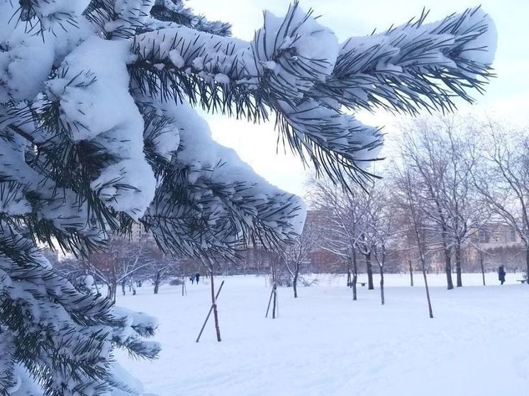 Снегопад даст Петербургу временную передышку вечером 15 декабря