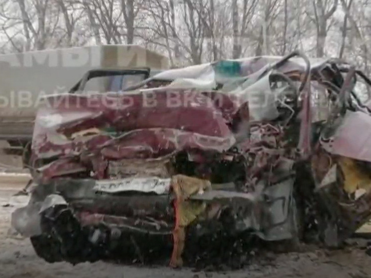 Под Тулой в снегопад в лобовом ДТП погиб водитель "девятки"